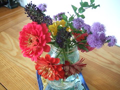 Flowers from the Garden