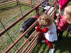 Lilliann Petting A Goat