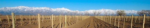En fotos, The Vines of Mendoza