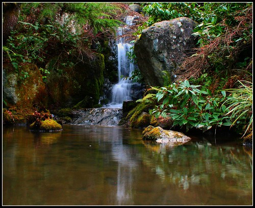 Waterfall reflection in kubota