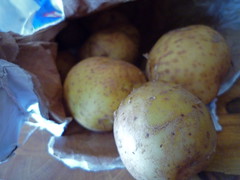 pei potatoes 2