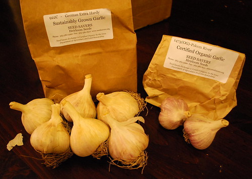 garlic order