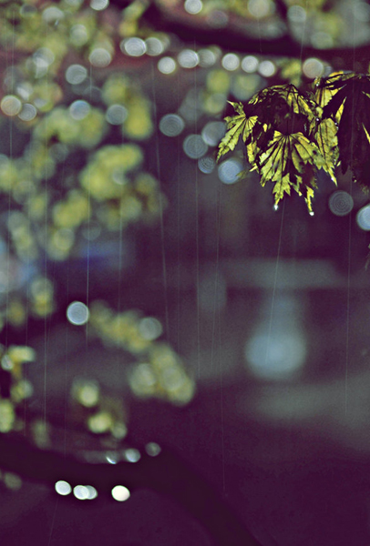 Rainy_night_by_junehee - Copy