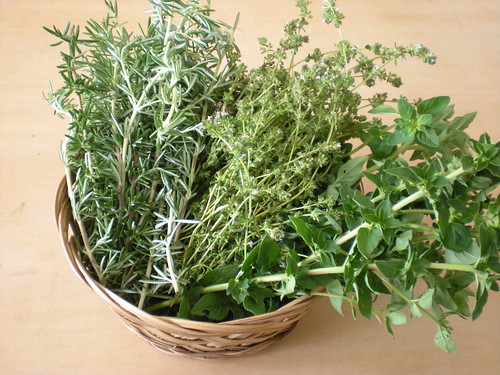 herbs - rosemary, thyme, oregano
