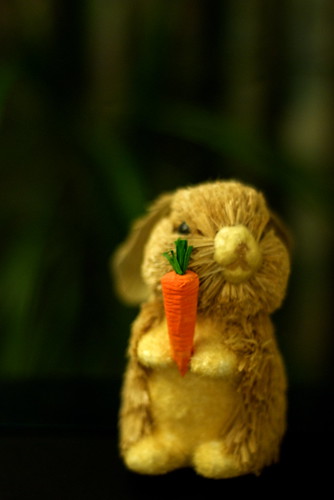 Happy Carrot Day!