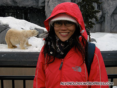 At the polar bear enclosure