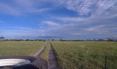 Savuti View, Botswana