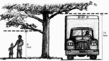 Preferred heights for tree branches for streets and sidewalks