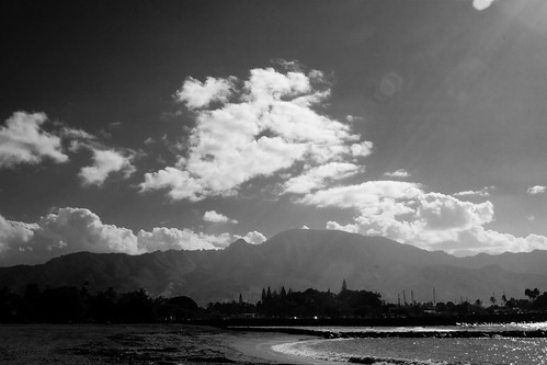 The North Shore in Black and White