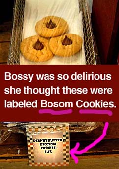 bosom-cookies