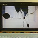 The Cracked LCD screen of my Acer Aspire One netbook (closeup)