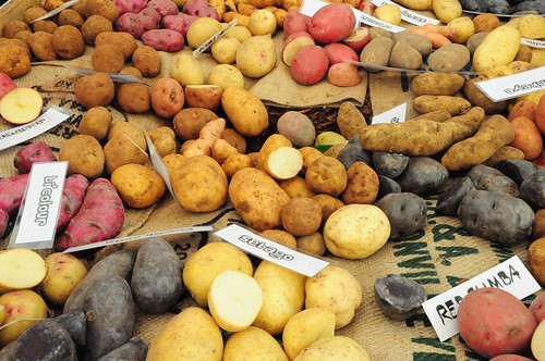 Different types of Potatoes