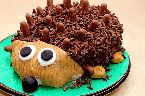 Hedgehog chocolate cake