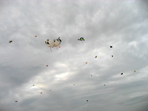 the cow jumped over the kites