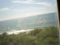 Amtrak Ocean View #1