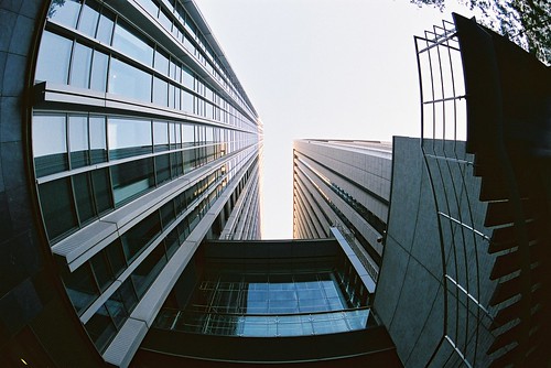 Between Two Buildings (Looking up)