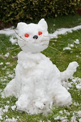 Snow Cat von  Mrs eNil