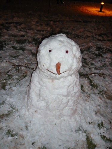 Sam和我做的雪人
