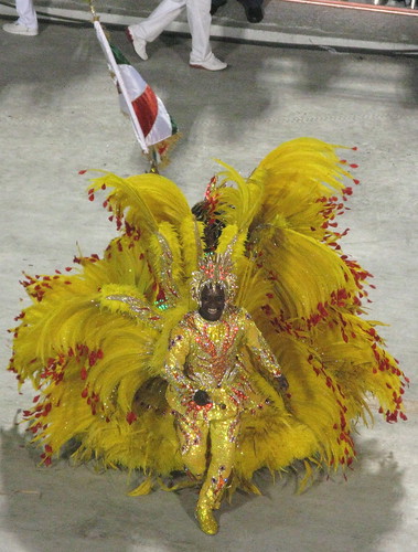 carnaval de rio de janeiro. Carnaval Rio de Janeiro