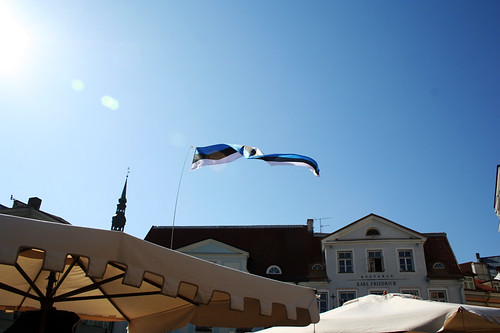 estonian flag