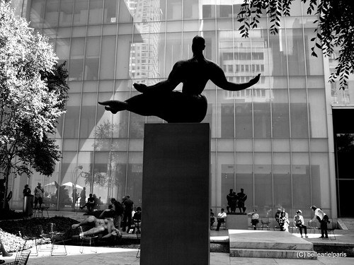 MOMA Reflections