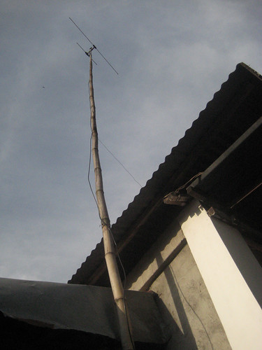 Bamboo Antenna