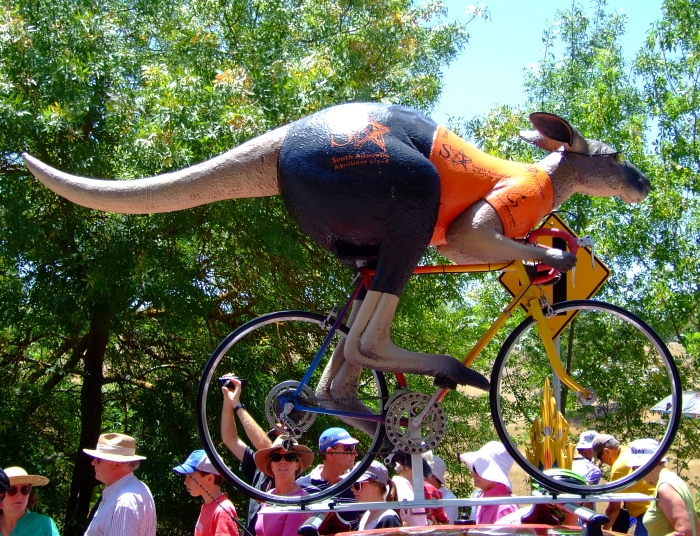 cycling kangaroo