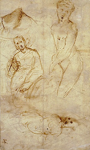 1507  Raphael    Four Studies for Saint Catherine  Pen and Brown Ink  otam