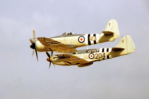 Warbird picture - Hawker Sea Fury and Fairey Firefly