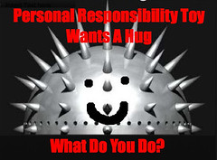 Personal Responsibility Toy