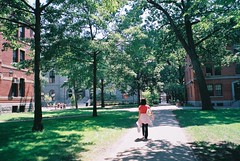 Ann in Harvard