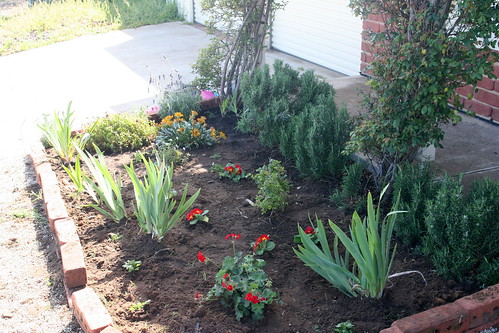 The new flowerbed