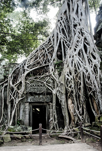 Angkor 32