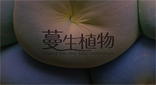 新樂園【當期展覽】蔓生植物-黃美惠個展The Trailing Plant-Huang Mei-Hui Solo Exhibition