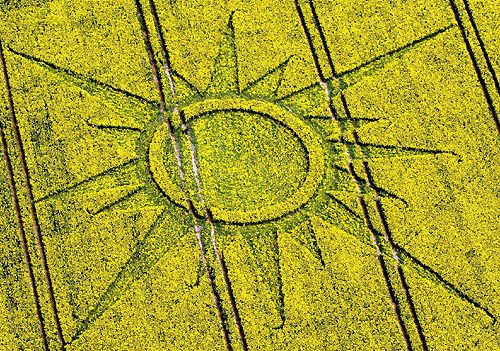 crop-circles-field-photo-16