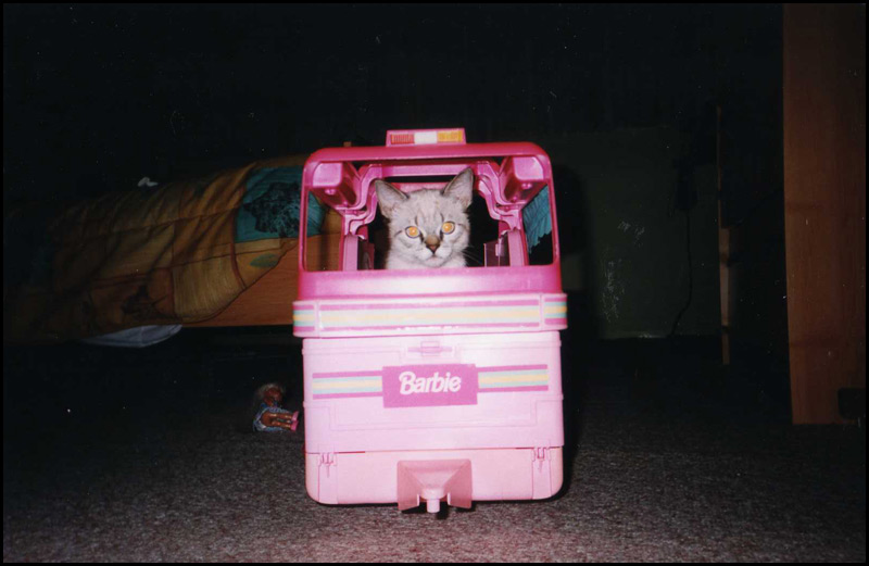 barbie caravan