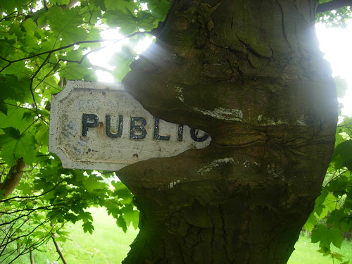 Tree Eats Sign Llangollen