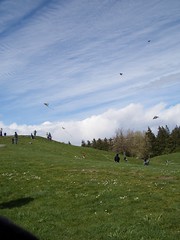 Kite Hill in Gasworks Park