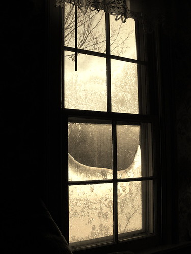 Window at Buckhorn Inn