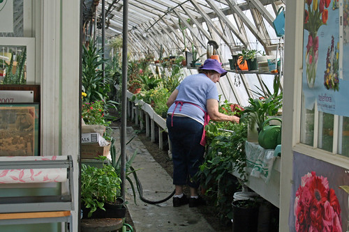 In the greenhouse