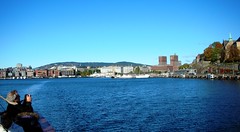 Mini Cruise Oslo Fjord in Norway #6