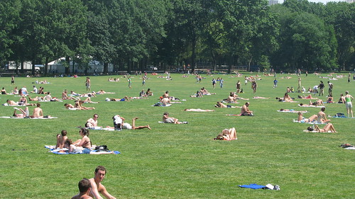 sunbathers in central park ny. Central Park NYC
