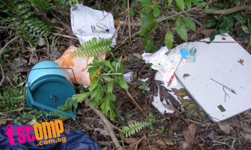  Foreign workers leave wooded area in mess after picnic