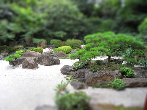 A Japanese garden