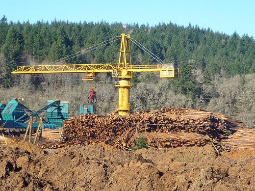 timber machinery