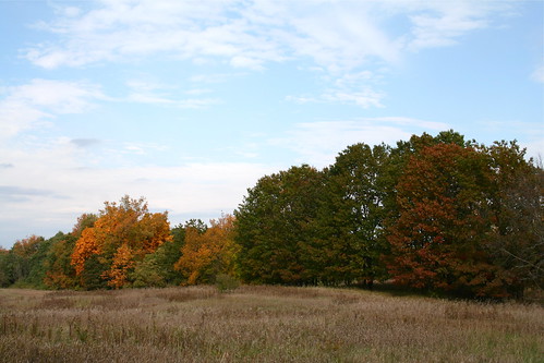 Michigan Fall Colors
