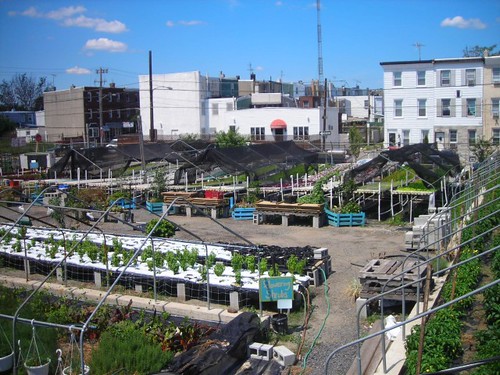 (photo of urban farm in Philadelphia)