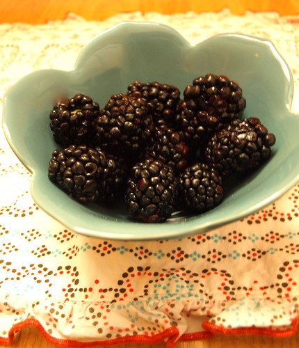 perfect summer blackberries