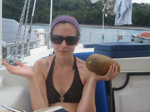 Hannah checks out huge cucumber (Dixons Reef, Malekula)