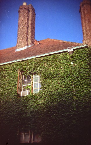 ivy house